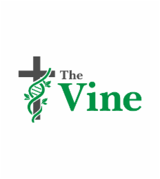 the vine