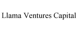 llama ventures capital