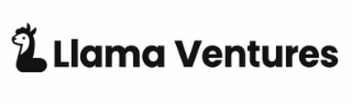 llama ventures