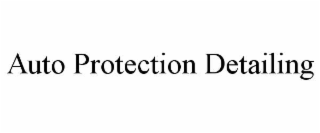 auto protection detailing