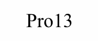 pro13