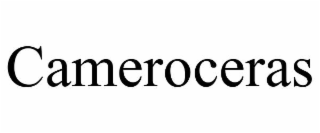 cameroceras