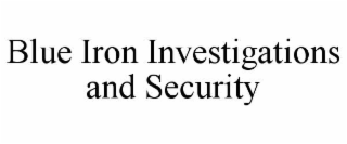 blue iron investigations and security