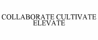 collaborate cultivate elevate