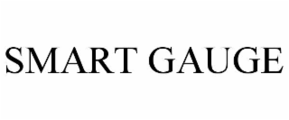 smart gauge