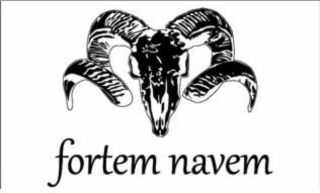fortem navem