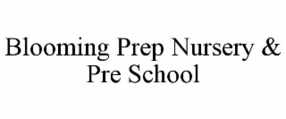 blooming prep nursery & pre school