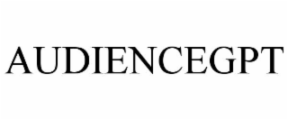 audiencegpt