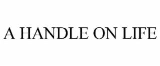 a handle on life