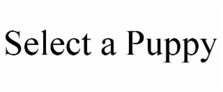 select a puppy