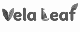 vela leaf