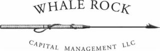 whale rock capital management llc