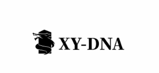 xy-dna