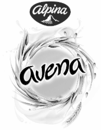 alpina avena