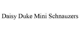 daisy duke mini schnauzers