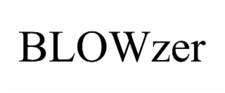 blowzer