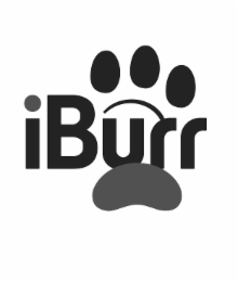 iburr