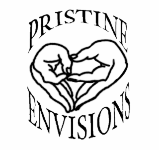 pristine envisions