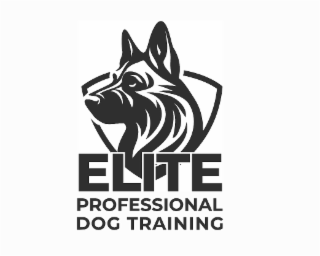 elite professional dog training