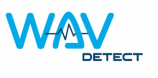 wav detect