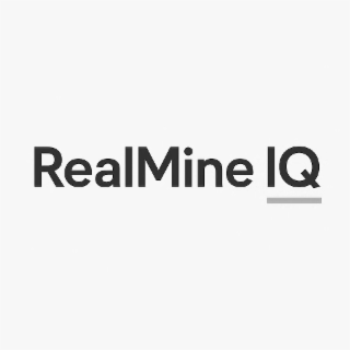 the mark consists of the stylized wording ‘realmine iq’ with a horizontal bar positioned directly beneath the letters ‘iq.’ no claim is made to color as a feature of the mark.