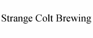strange colt brewing