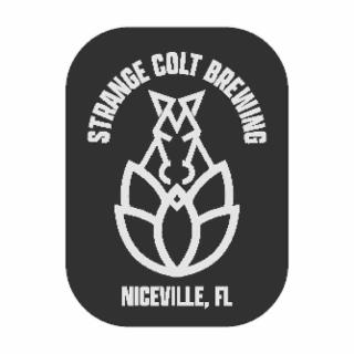 strange colt brewing