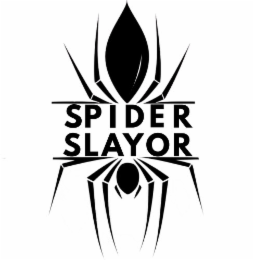 spider slayor