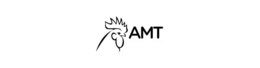 amt
