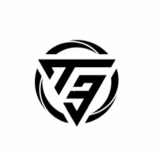 the letter "t" and the number "3"