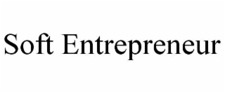 soft entrepreneur