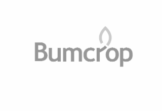 bumcrop