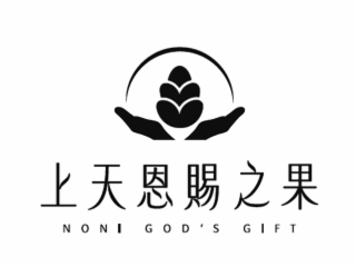 noni god's gift