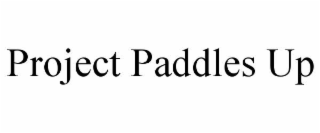 project paddles up