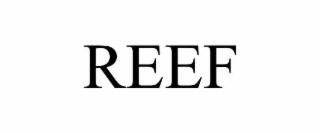 reef