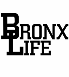 bronx life