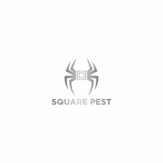 square pest