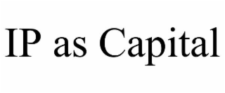 ip as capital