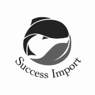 success import