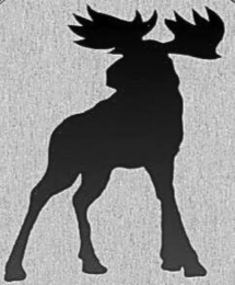 there are no words, letters, punctuation or numbers in the drawing.