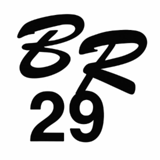 br29