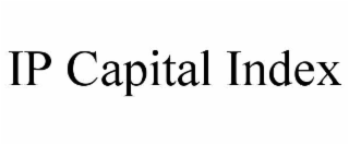 ip capital index
