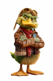 fly clean with the ace