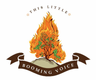 this little booming voice