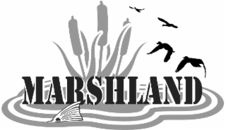 marshland
