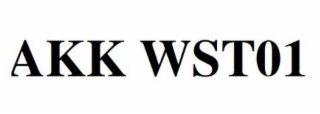 akk wst01