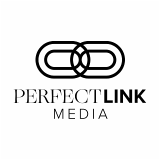 perfectlink media