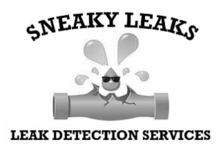 sneaky leaks leak detection services