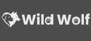 wild wolf