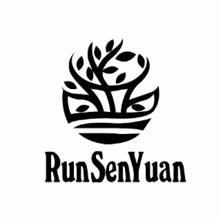 runsenyuan